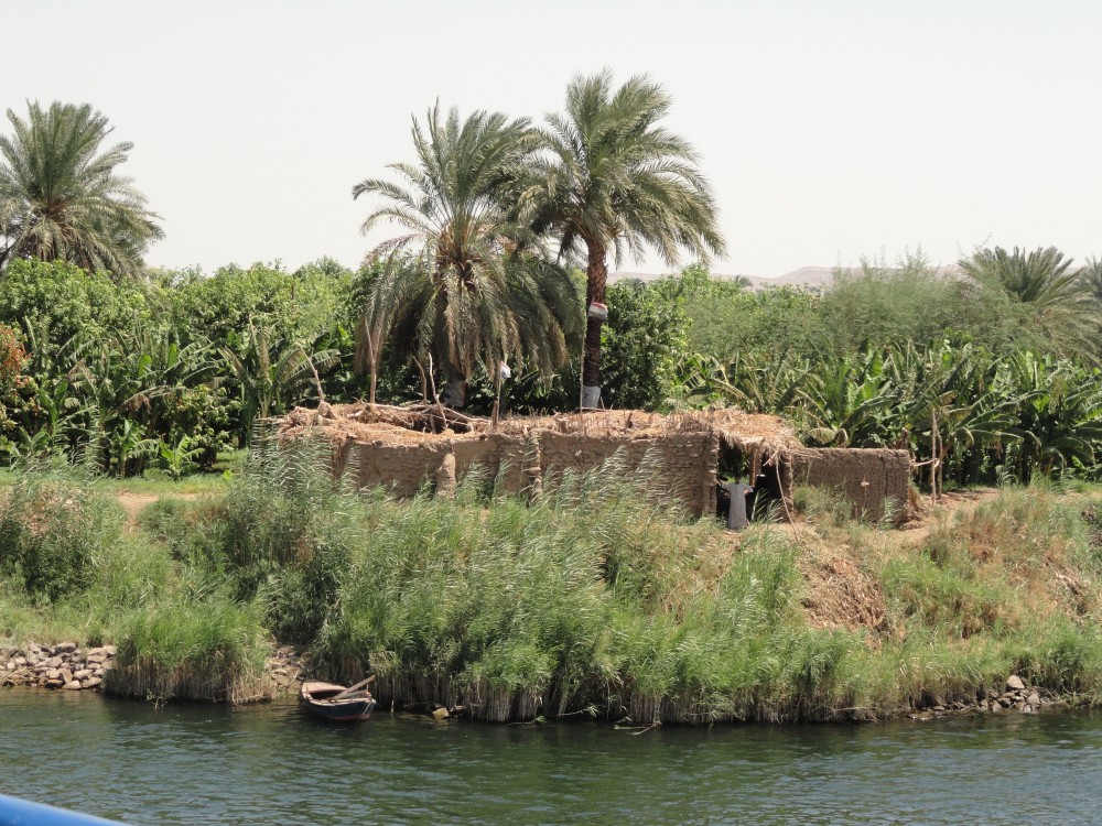 Fertile smallholding beside the Nile