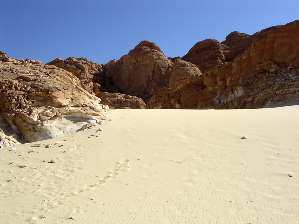 Sand dune on the Sinai Peninsula