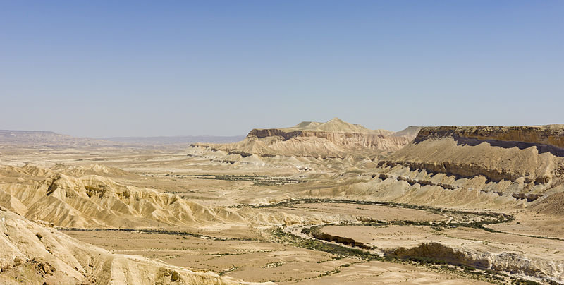 Ein Avdat in the Zin Valley of the Negez Desert (Andrew Shiva)