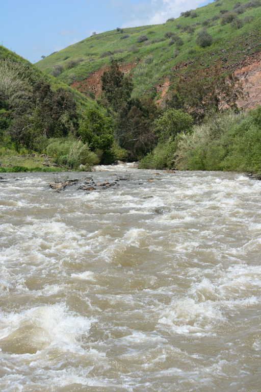 The River Jordan in Spring