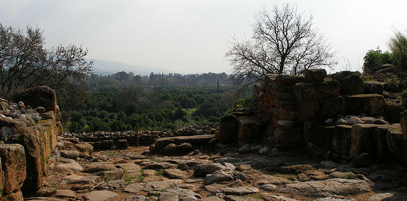 View from the ruins of Dan