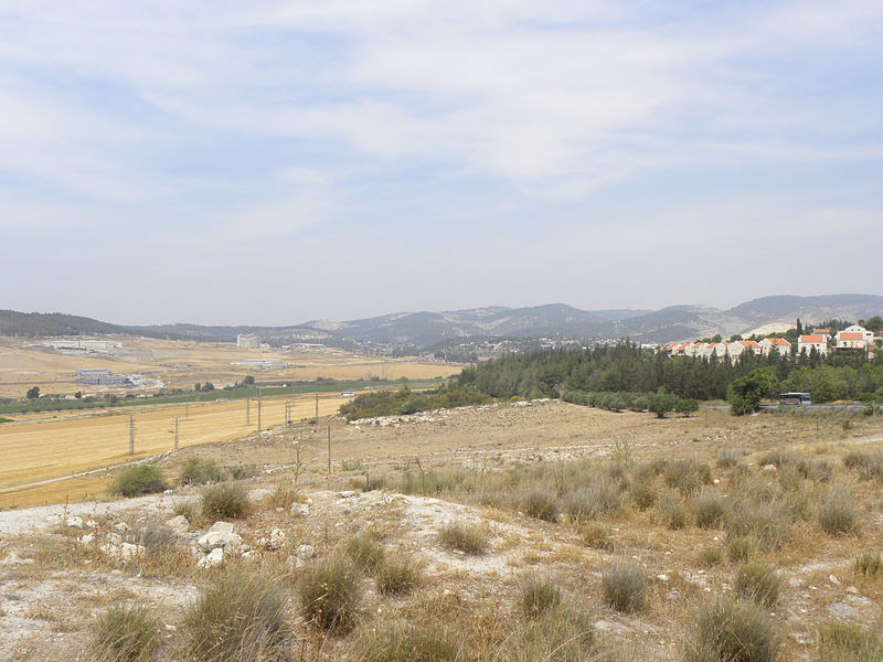 Looking east from Beth Shemesh