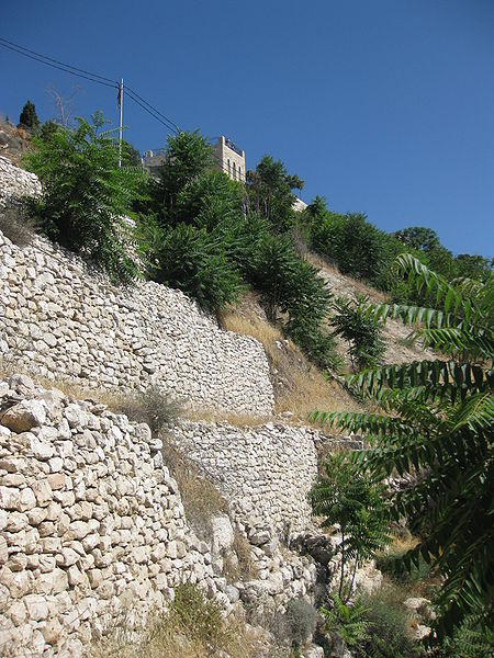 Jebusite wall at City of David (Deror avi)