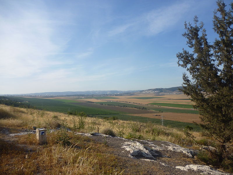 The Jezreel Valley from Tel Yize'el (Daniel Ventura)