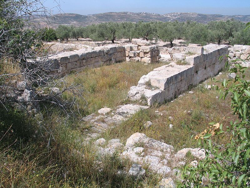 Shomron National Park, Remains of ancient Sebaste (Samaria) (Bukvoed)