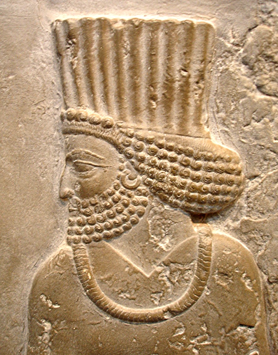 Persian Official on a relief from the Palace of Darius at Persepolis (British Museum)