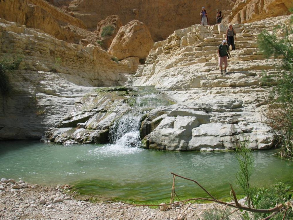 Nahal Arugot - a stream in the Judaean Desert