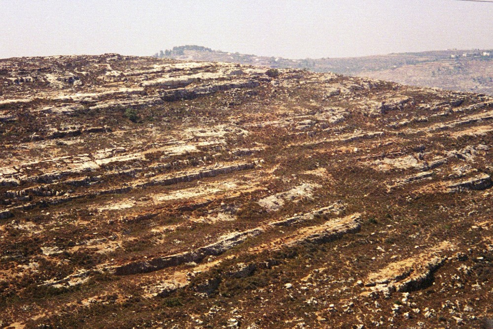 Rocky ground in Galilee