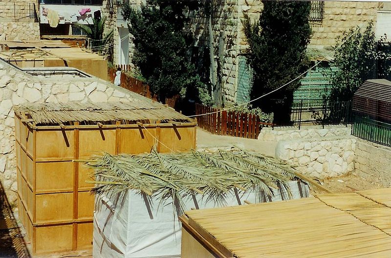 Sukkah roofs (Yoninah)